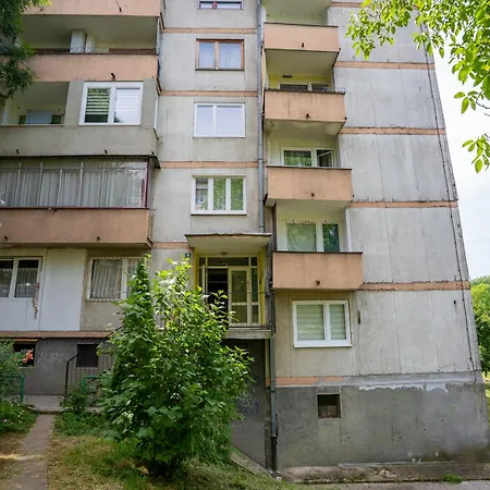 Minnie Daire Saraybosna